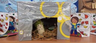 309979607_458659322892147_1040074488295350844_n